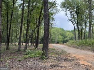 2180 Dunn Road Molena, GA 30258 - Photo 3 of 29 Gallery Image 3