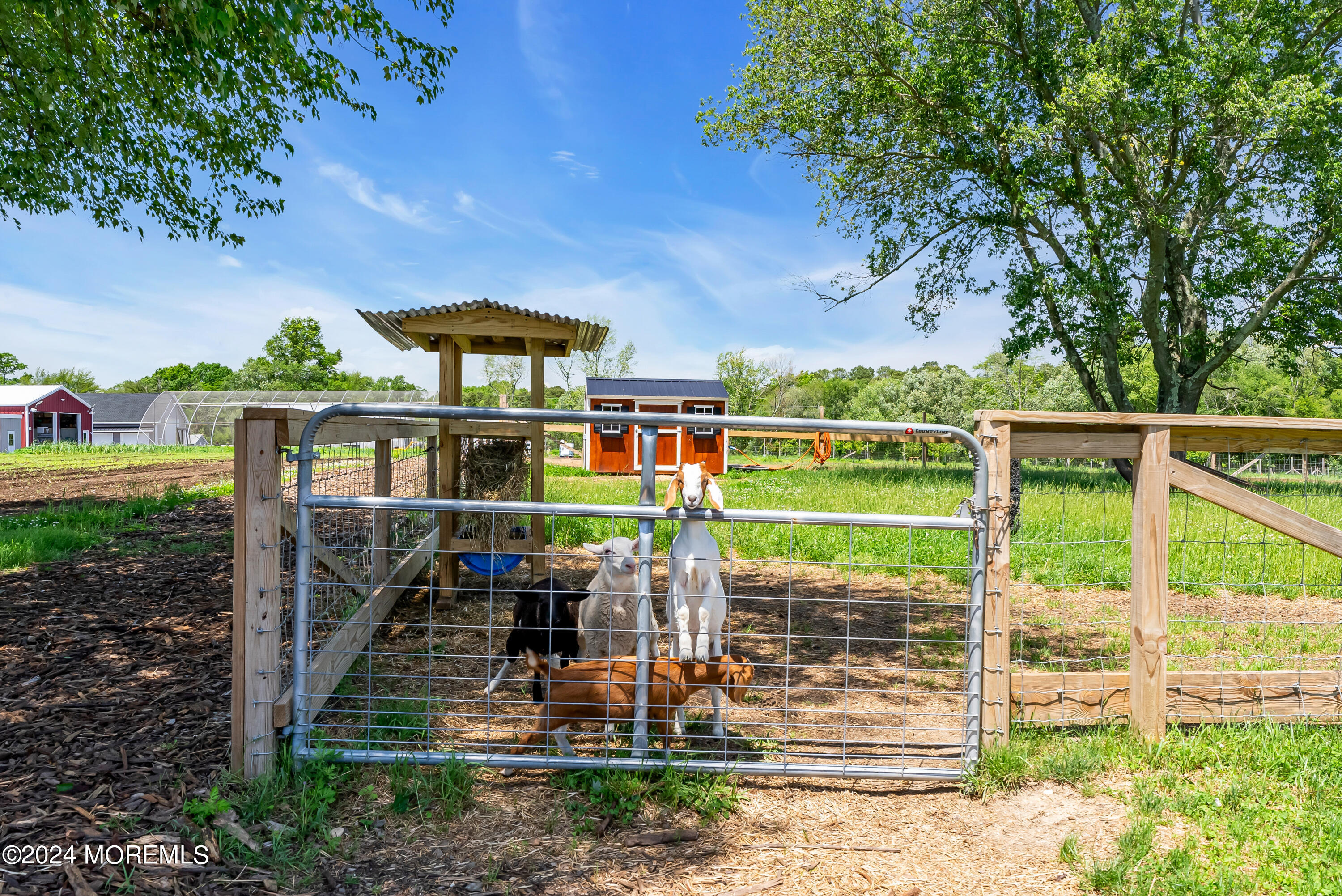 553 Colts Neck Road Farmingdale, NJ 07727 - Photo 6 of 52 a view of a porch with furniture and a yard