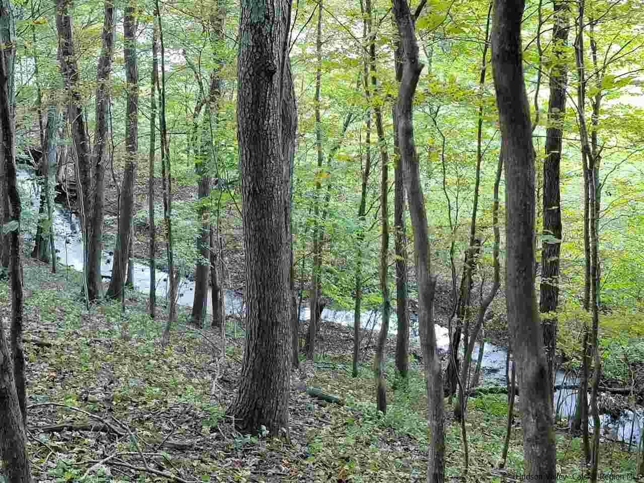 88 Sunnyvalley Road Catskill, NY 12482 - Photo 34 of 34 Photo 34