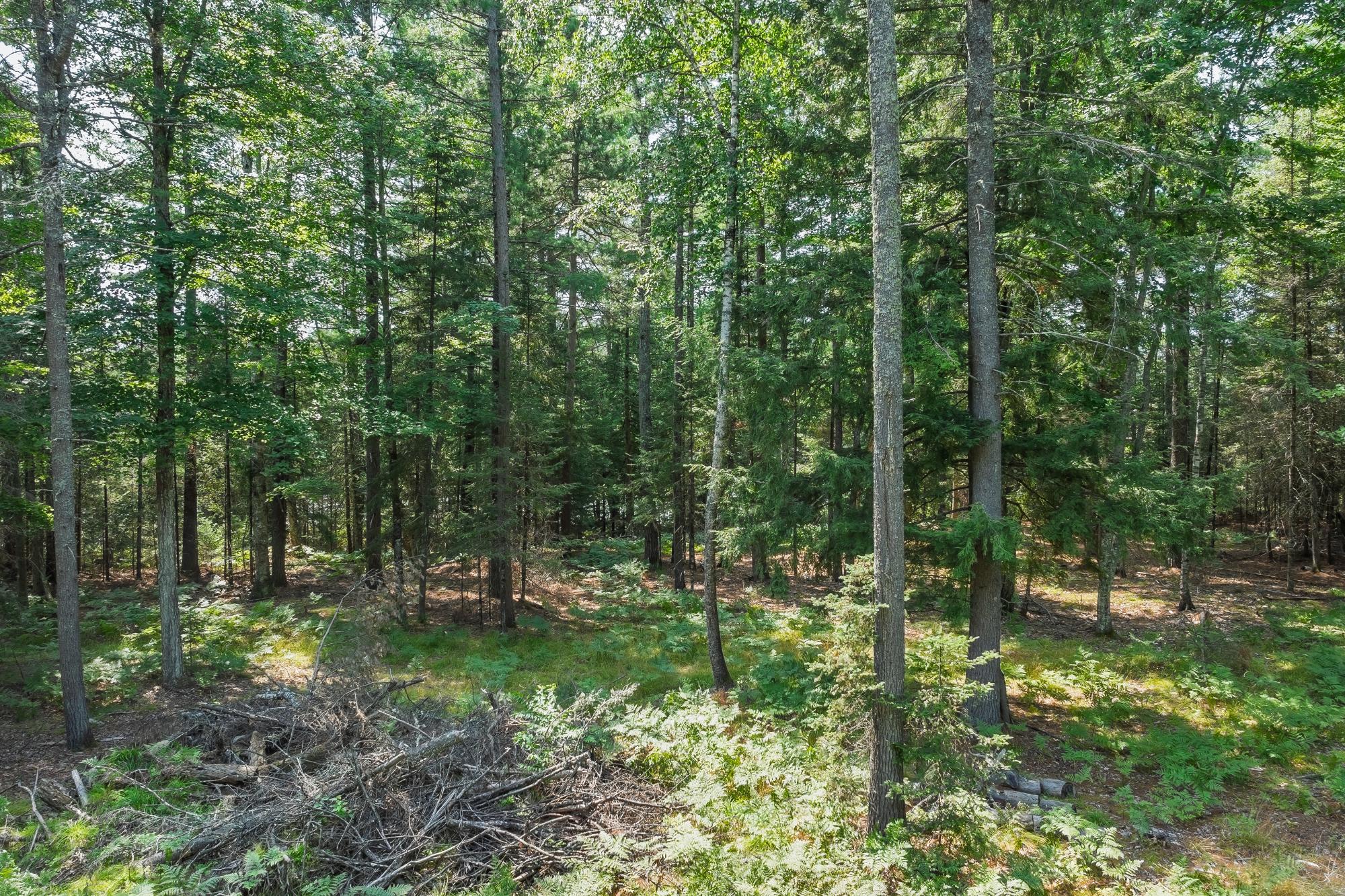 Off Watersmeet Lake Road, Unit 3&4 Eagle River, WI 54521 - Photo 24 of 37 Gallery Image 24