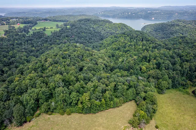 an aerial view of green landscape with trees houses and mountain view