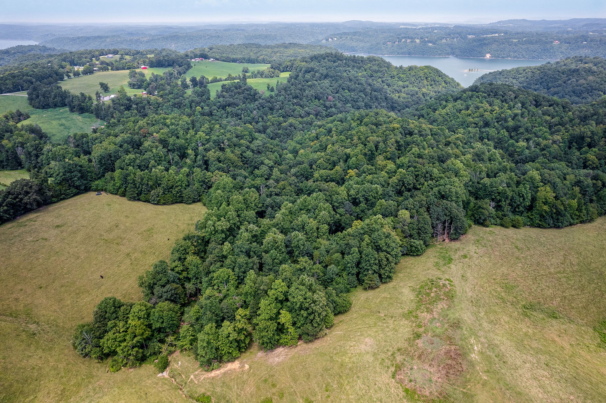 0 Keisling Ridge Road Monroe, TN 38573 - Photo 12 of 40 an aerial view of a houses with a yard and mountain view