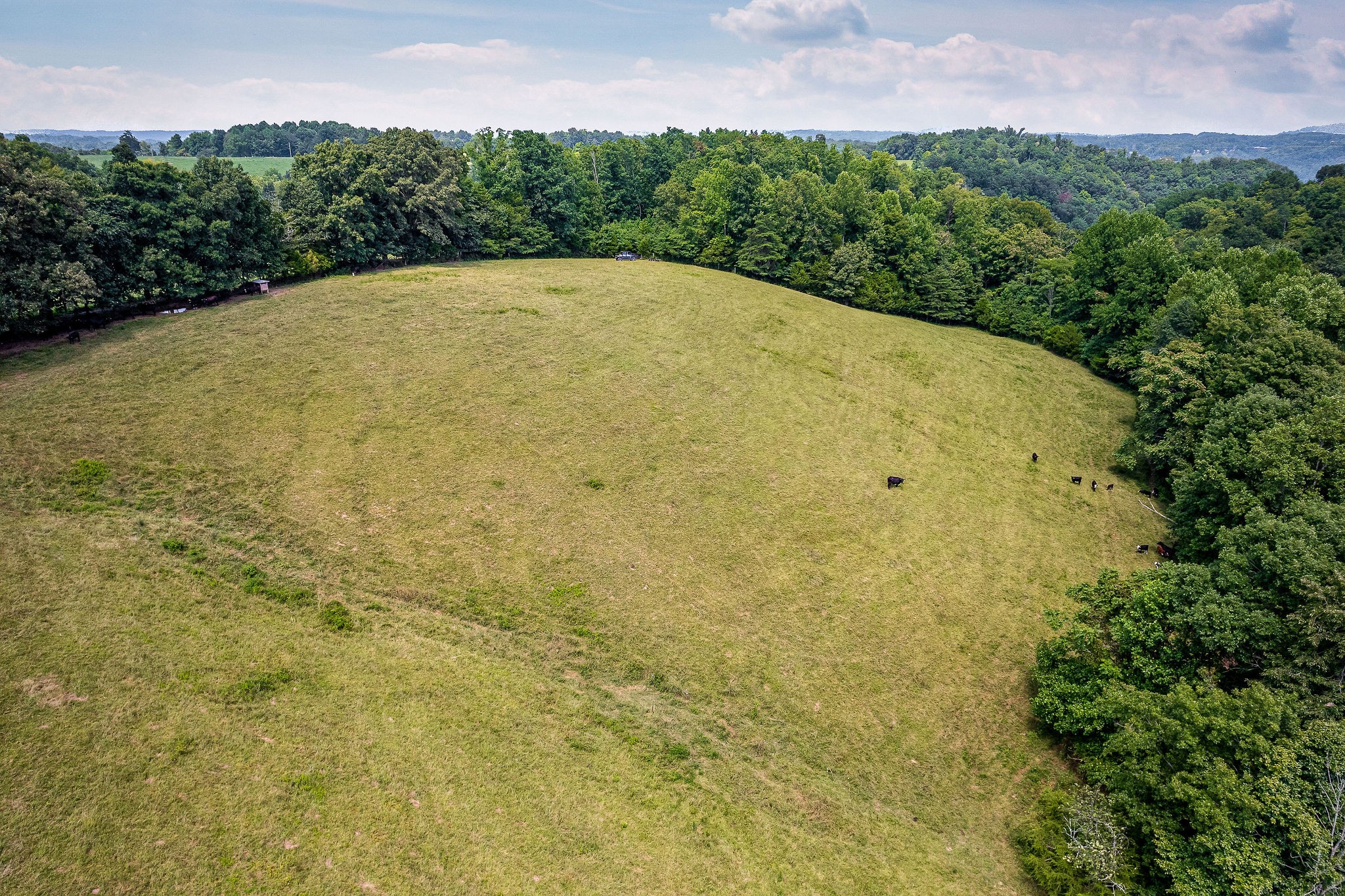 0 Keisling Ridge Road Monroe, TN 38573 - Photo 16 of 40 a view of a yard