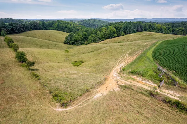 a view of a yard with an outdoor space