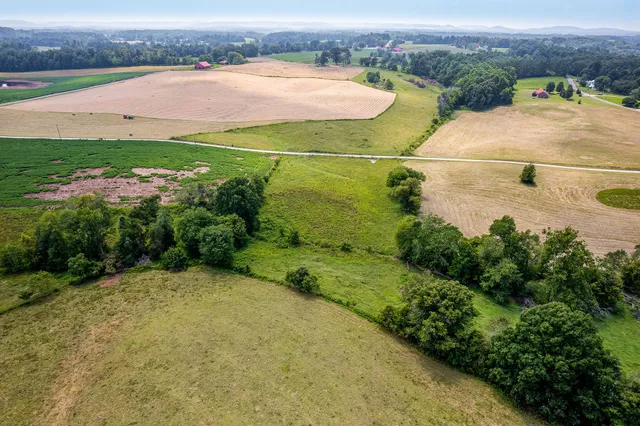 an aerial view of a residential houses with outdoor space and trees