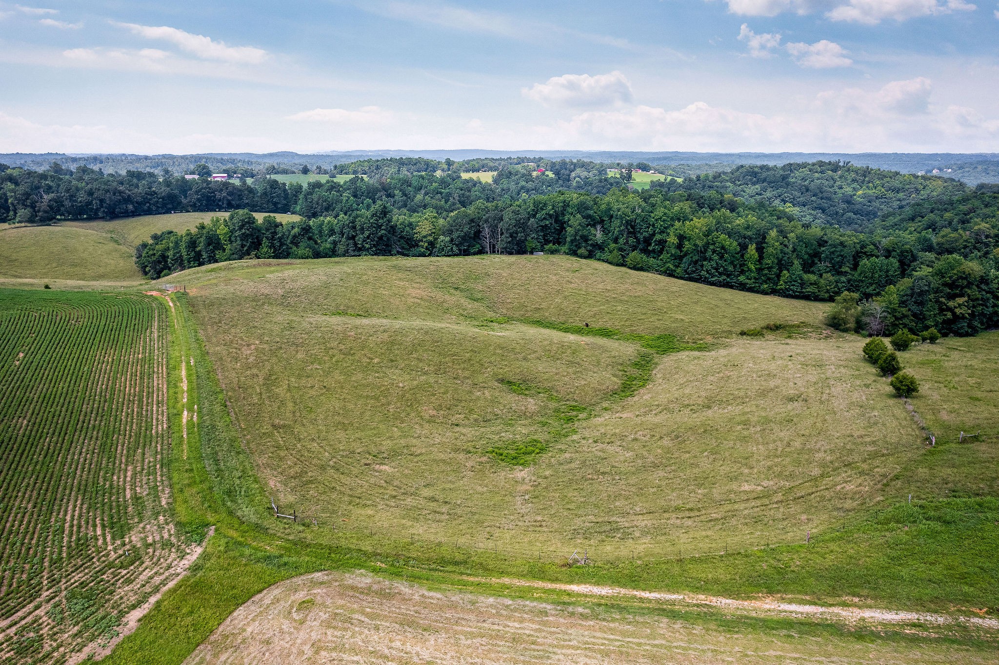 0 Keisling Ridge Road Monroe, TN 38573 - Photo 21 of 40 a view of a dry yard with green space
