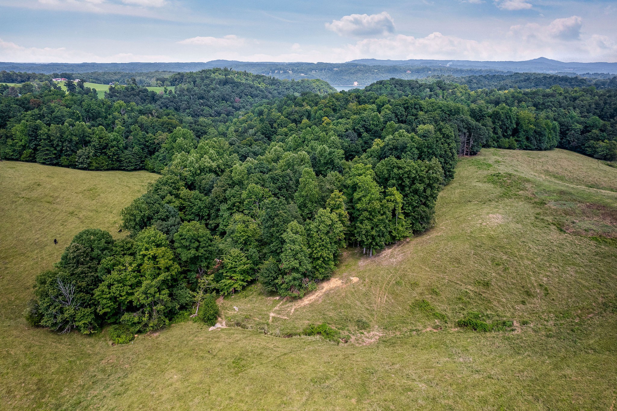 0 Keisling Ridge Road Monroe, TN 38573 - Photo 23 of 40 a view of a pathway with a yard
