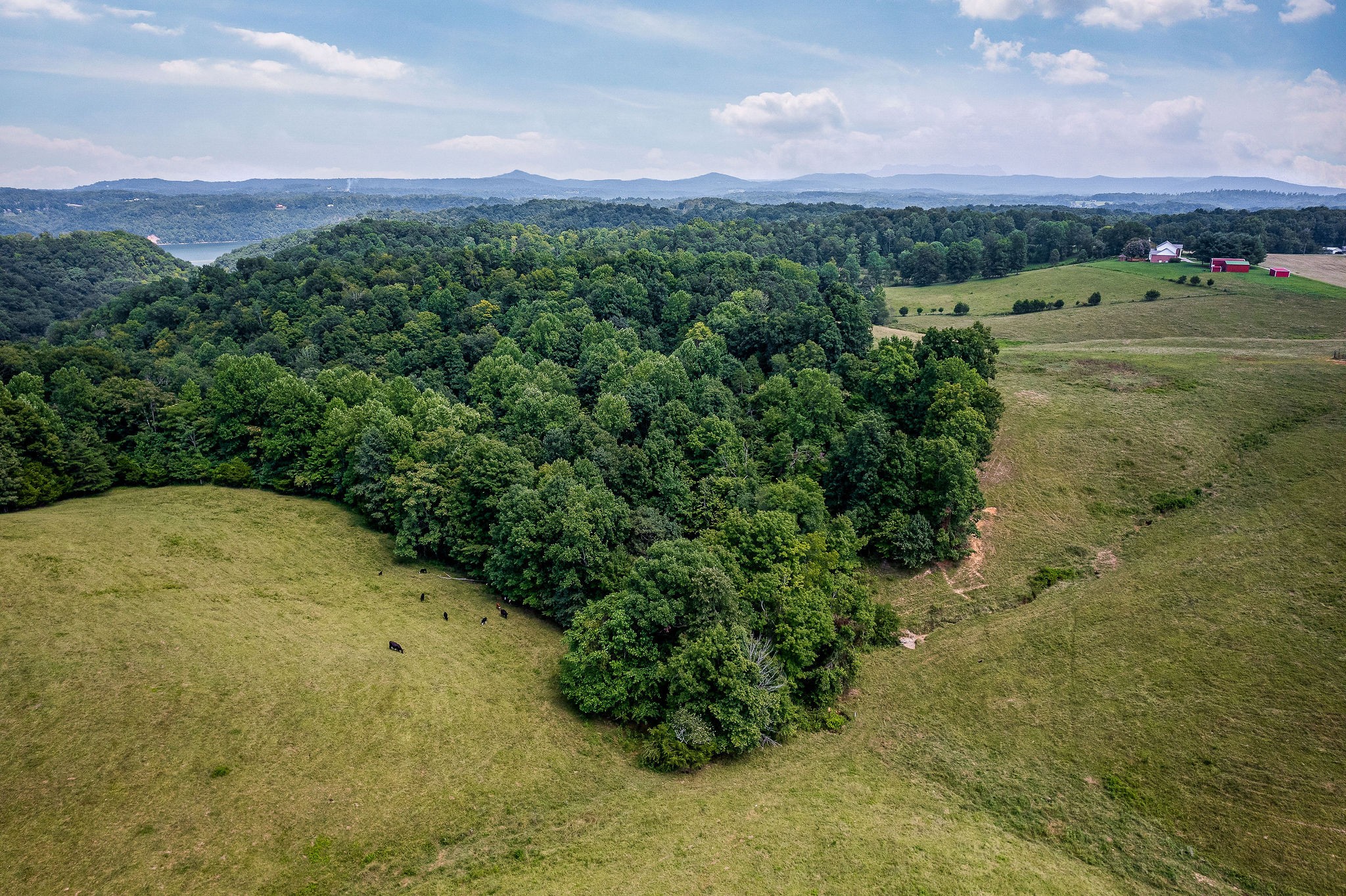 0 Keisling Ridge Road Monroe, TN 38573 - Photo 24 of 40 a view of a big yard with green space