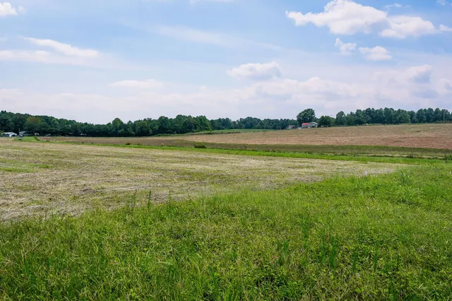 a view of a lake from a yard
