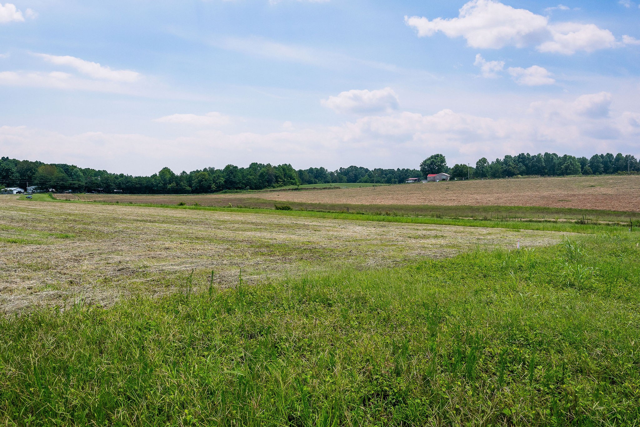 0 Keisling Ridge Road Monroe, TN 38573 - Photo 25 of 40 a view of a lake from a yard