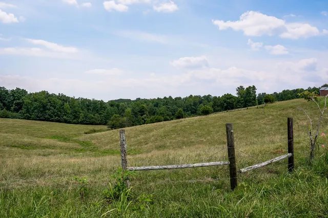 a view of a field with an trees in the background