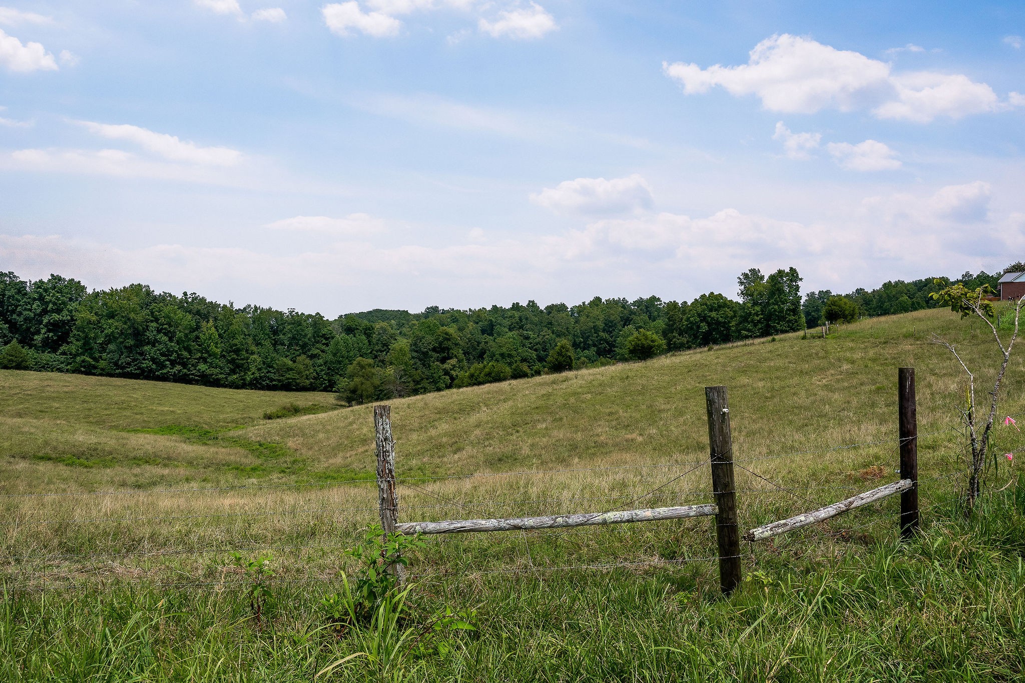 0 Keisling Ridge Road Monroe, TN 38573 - Photo 26 of 40 a view of a field with an trees in the background