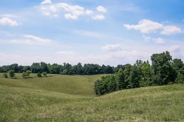 a view of a lake with houses in the back