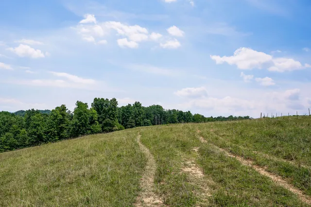 a view of a field with sky view