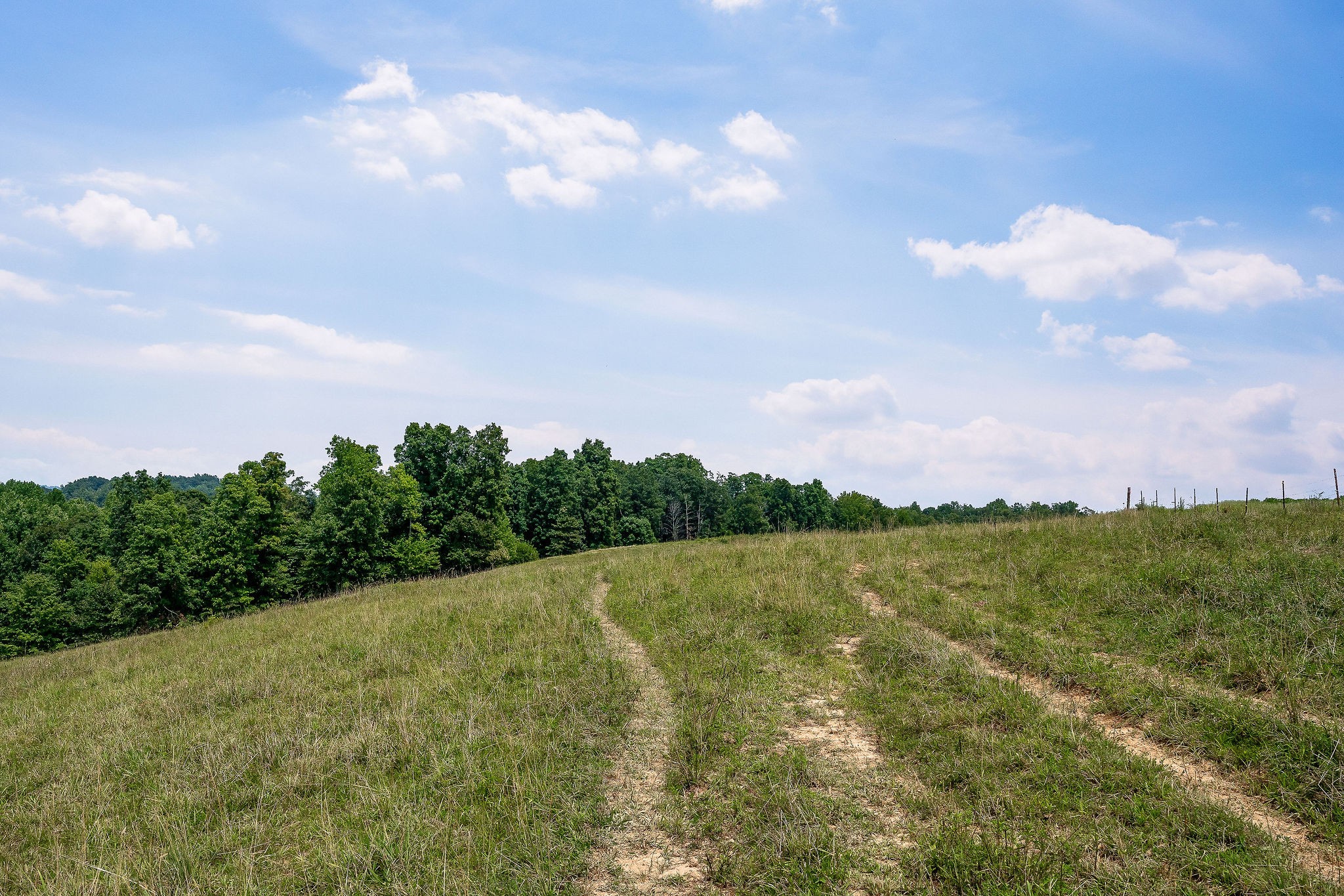 0 Keisling Ridge Road Monroe, TN 38573 - Photo 30 of 40 a view of a field with sky view