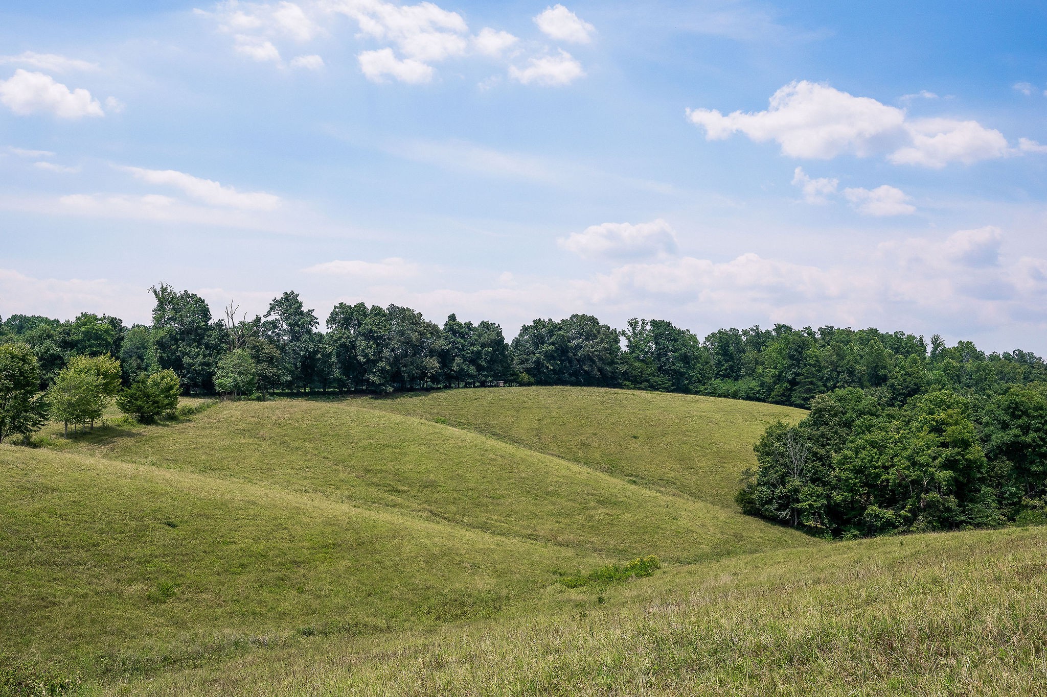 0 Keisling Ridge Road Monroe, TN 38573 - Photo 31 of 40 a view of outdoor space and yard