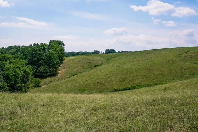 a view of a field with an ocean and trees