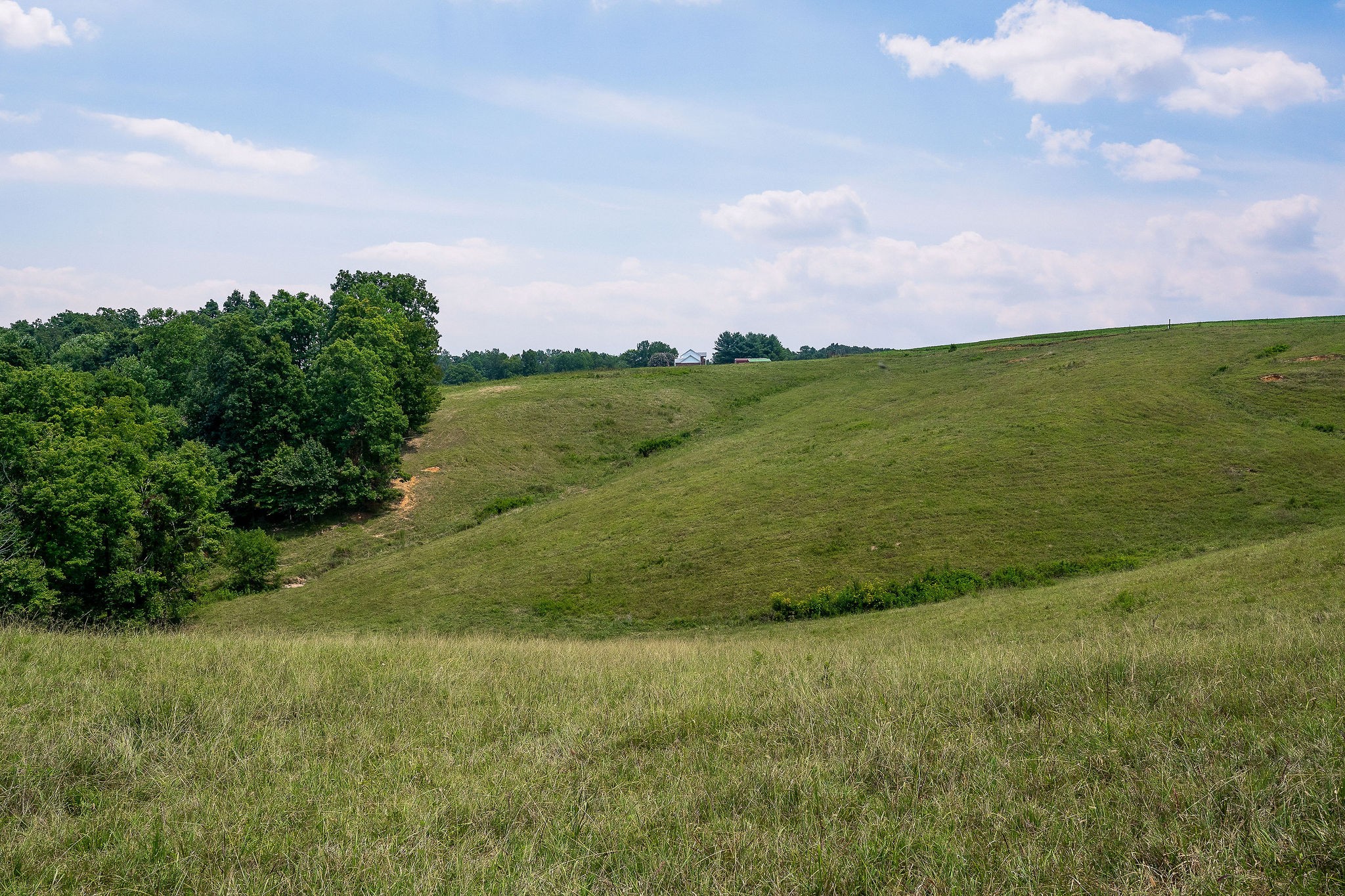 0 Keisling Ridge Road Monroe, TN 38573 - Photo 32 of 40 a view of a field with an ocean and trees