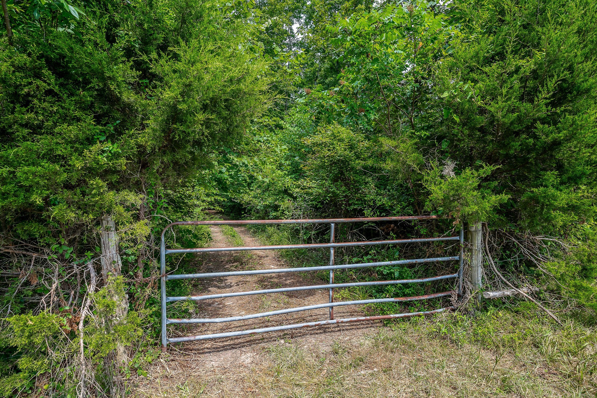 0 Keisling Ridge Road Monroe, TN 38573 - Photo 35 of 40 a view of a room with stairs and a small yard