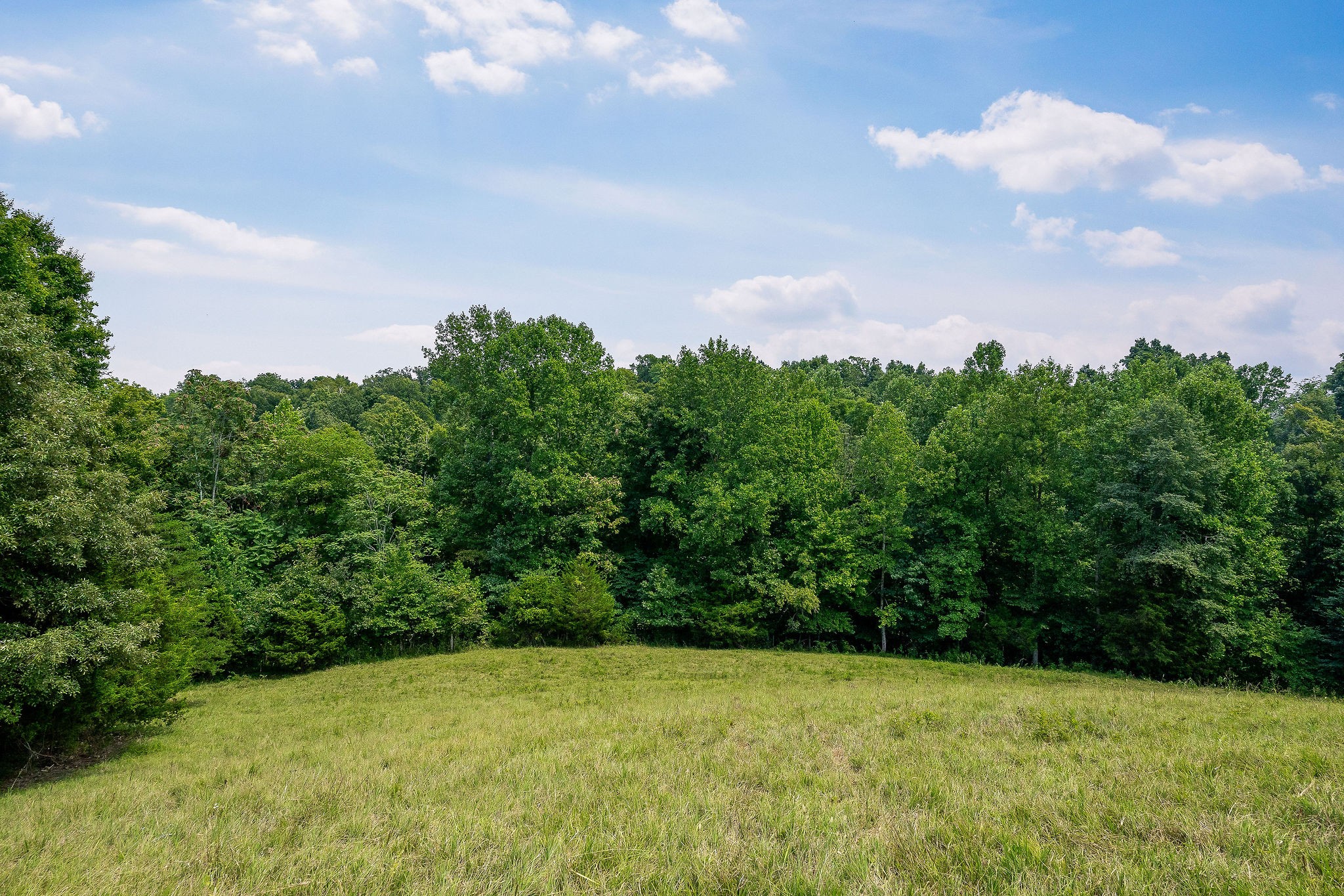 0 Keisling Ridge Road Monroe, TN 38573 - Photo 36 of 40 a view of a big yard with lots of green space and wooden fence