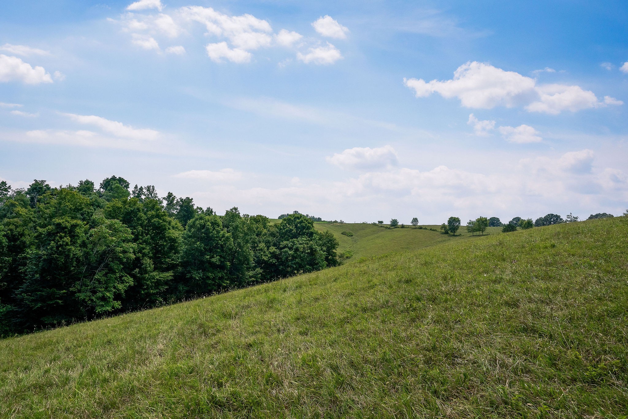 0 Keisling Ridge Road Monroe, TN 38573 - Photo 37 of 40 a view of a city with lush green forest