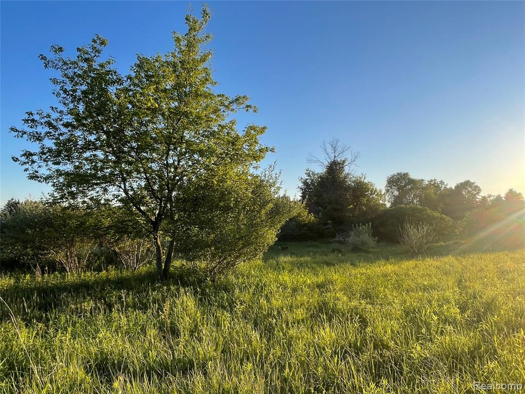 0 Hayden Road Attica, MI 48412 - Photo 5 of 7