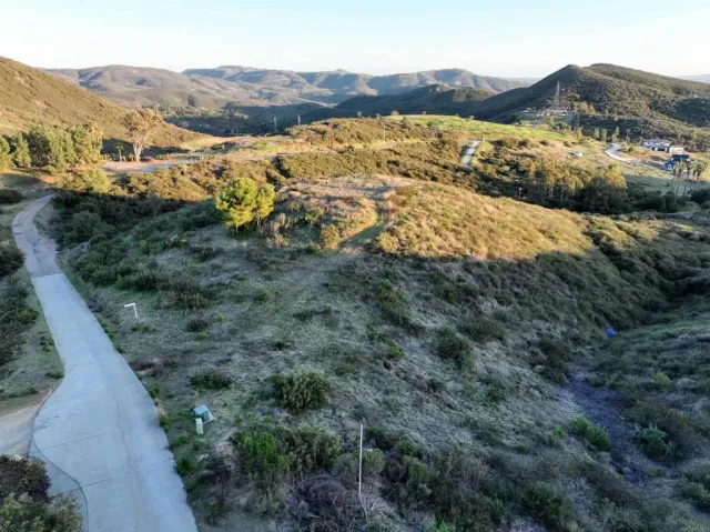 a view of a city with lush green forest