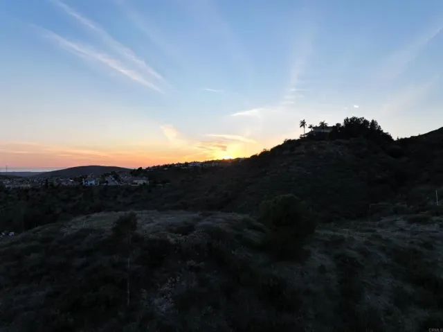 a view of a dry yard with green space