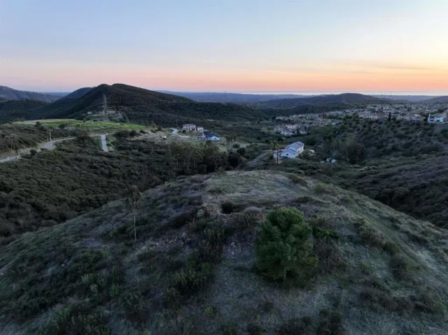 a yard with a tree in the background