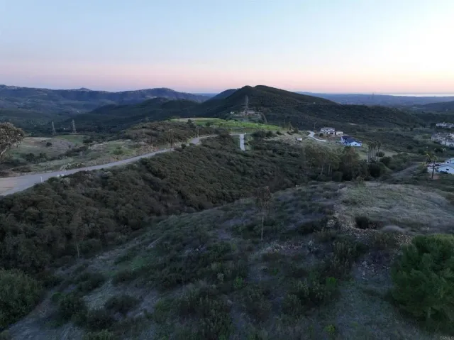 a view of a garden with a tree