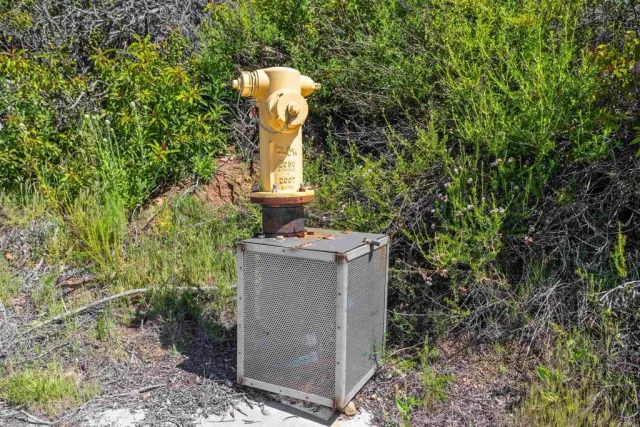 a view of a green field