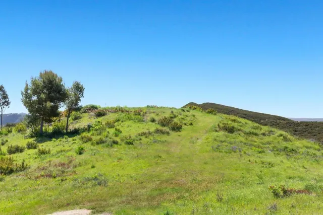 a view of a green field