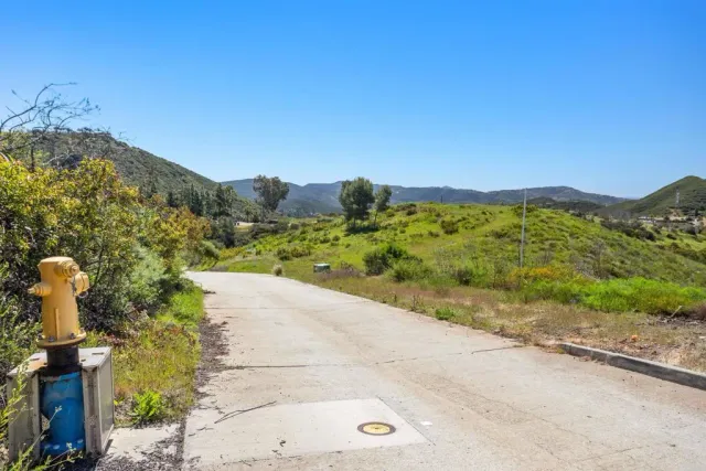 a view of a lush green forest with trees in the background