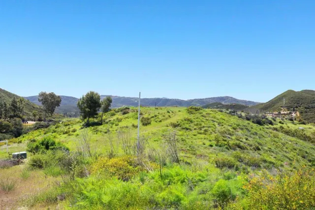 a view of a lush green outdoor space with a lake view