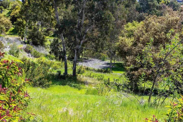 a view of a lush green hillside and a houses