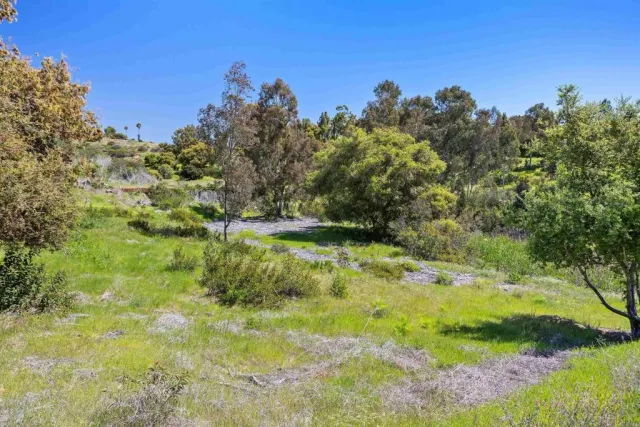 a backyard of a house with lots of green space