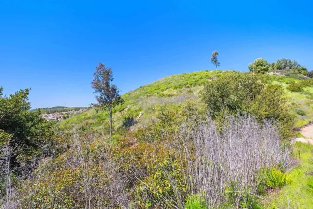 $1,320,000 | 0 Golden Eagle Trail, Irvine, CA 92603