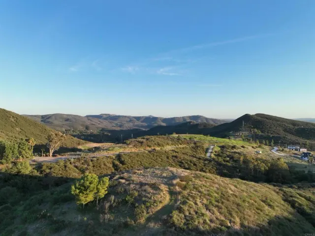 a view of a city with lush green forest