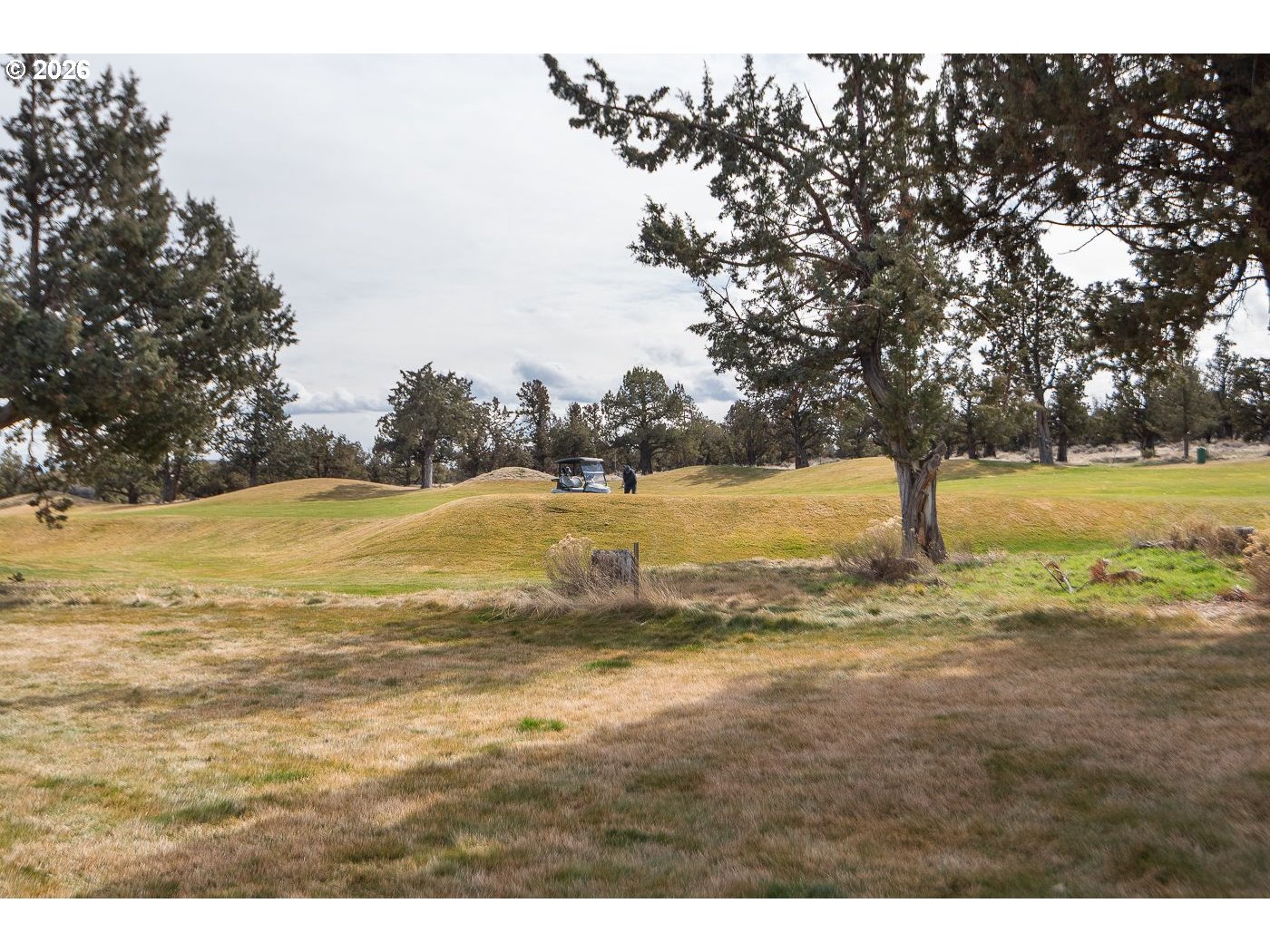8968 Cliff Swallow Drive Redmond, OR 97756 - Photo 24 of 25 a view of an ocean beach