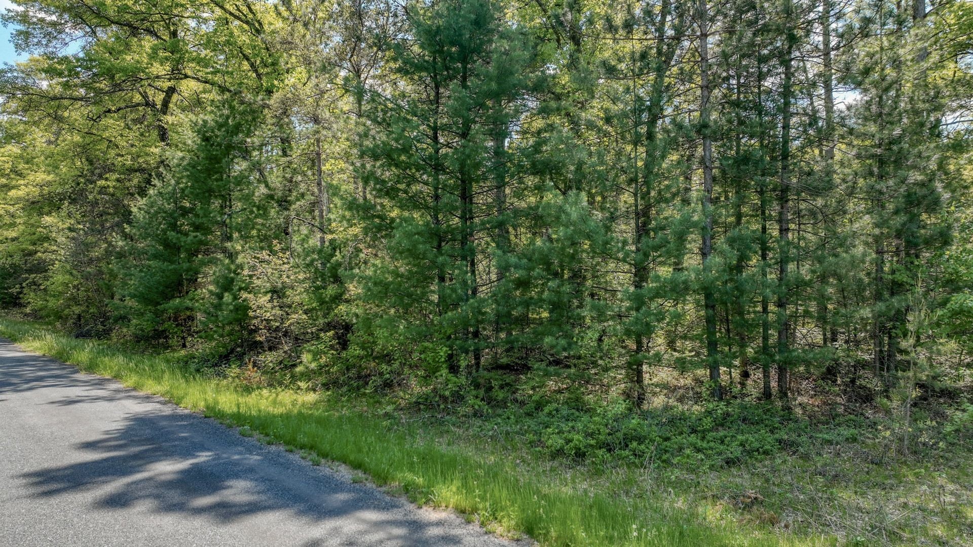8667 Lakeside Road Willard, WI 54493 - Photo 1 of 11