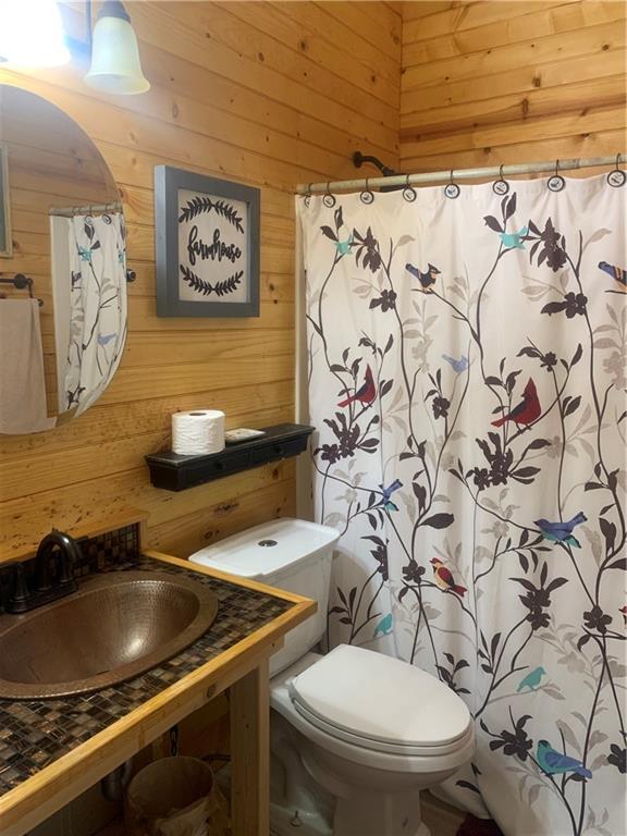 8 Mt Sequoyah Road Jasper, GA 30143 - Photo 48 of 86 a bathroom with a toilet and a sink