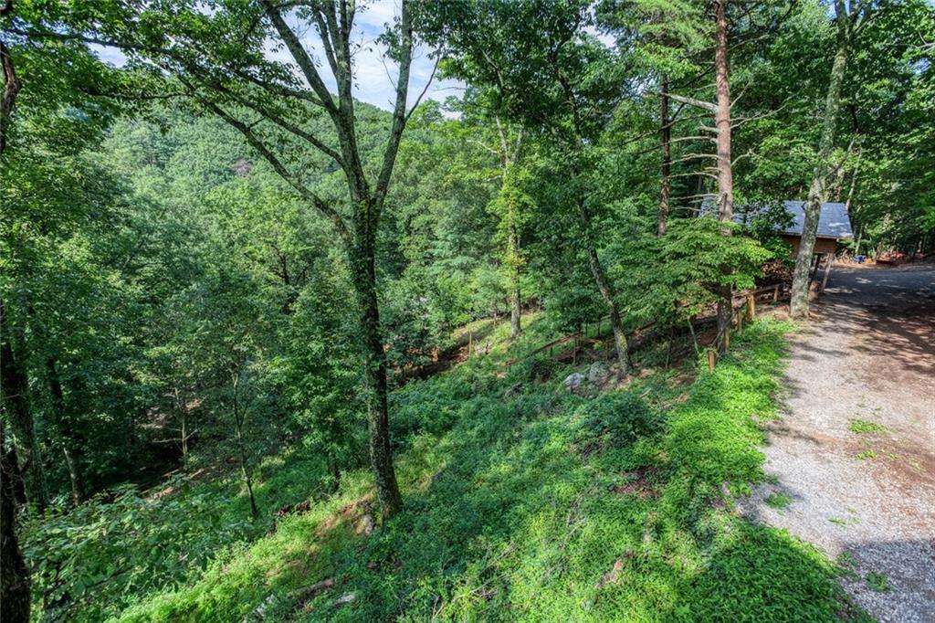 8 Mt Sequoyah Road Jasper, GA 30143 - Photo 56 of 86 a view of a lush green forest