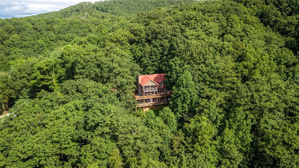 8 Mt Sequoyah Road Jasper, GA 30143 - Photo 68 of 86 a view of a lush green forest with lawn chairs and plants