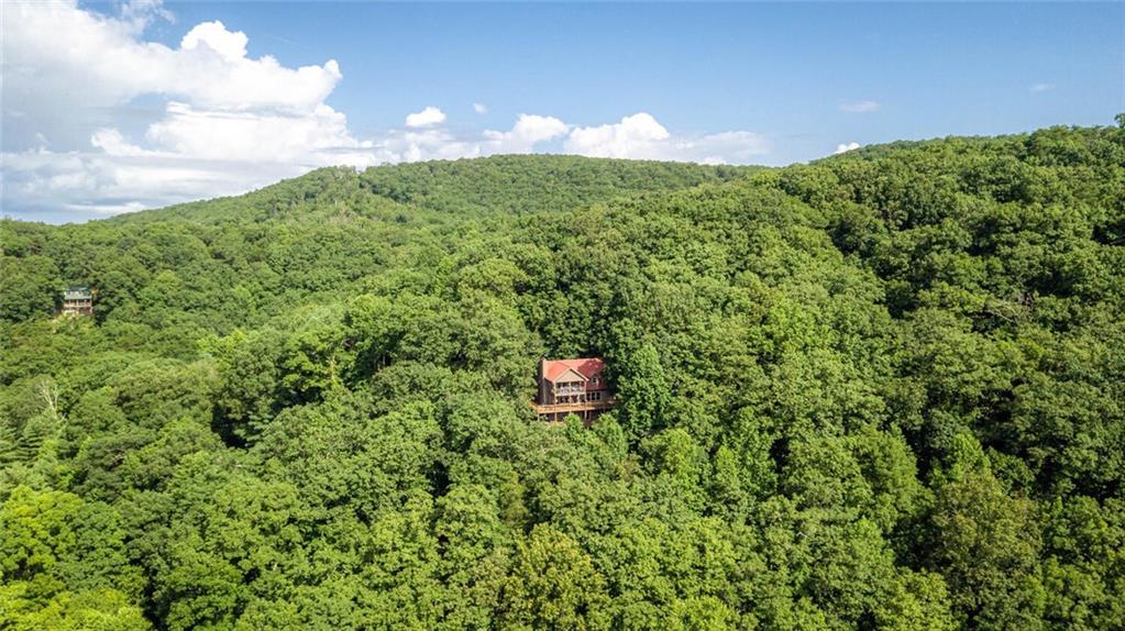 8 Mt Sequoyah Road Jasper, GA 30143 - Photo 69 of 86