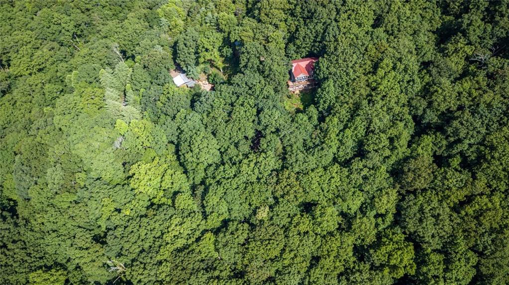 8 Mt Sequoyah Road Jasper, GA 30143 - Photo 71 of 86 a picture of a tree