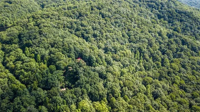 $600,000 | 8 Mt Sequoyah Road, Jasper, GA 30143