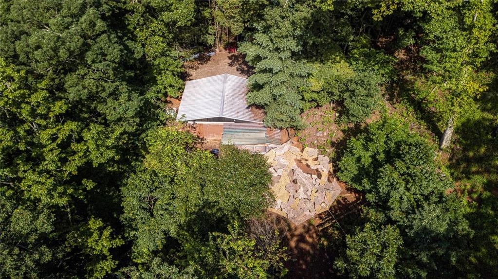 8 Mt Sequoyah Road Jasper, GA 30143 - Photo 74 of 86 a view of a garden with plants