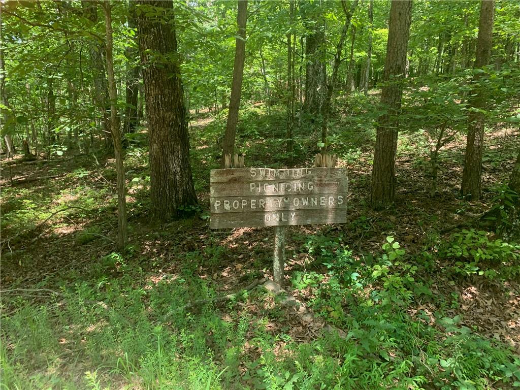 8 Mt Sequoyah Road Jasper, GA 30143 - Photo 78 of 86 a view of outdoor space and garden
