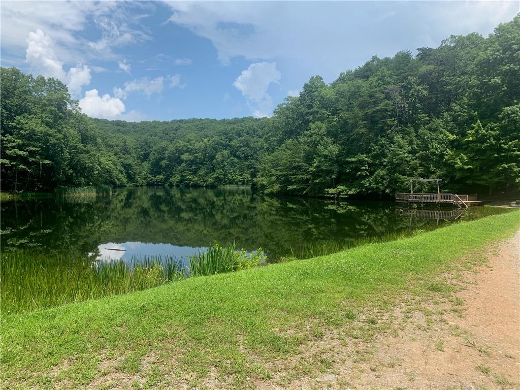 8 Mt Sequoyah Road Jasper, GA 30143 - Photo 80 of 86