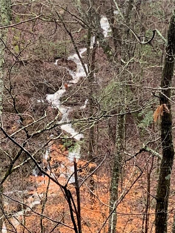 8 Mt Sequoyah Road Jasper, GA 30143 - Photo 82 of 86